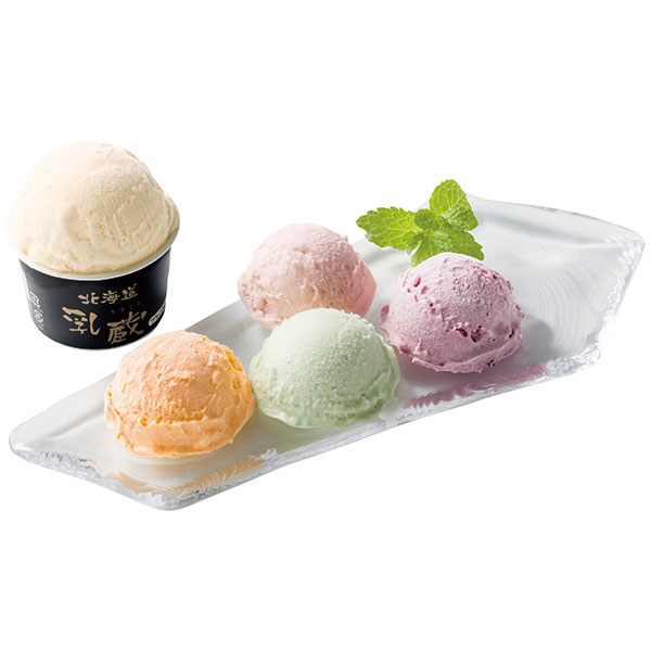 乳蔵 北海道アイスクリーム5種セット