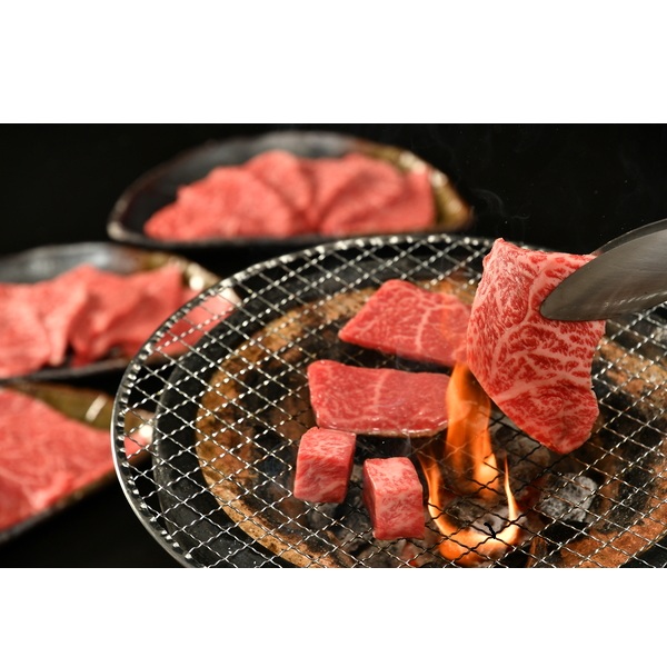 松阪牛焼肉用（肩・モモ・バラ）３００ｇ