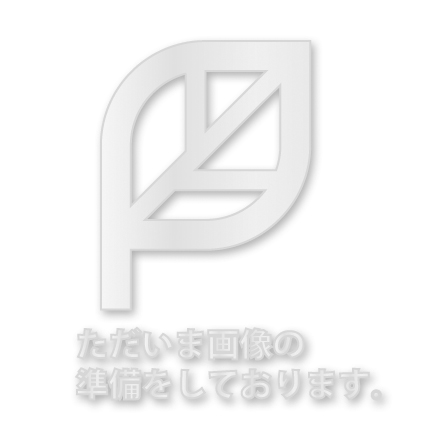 2WAYリック防災セット/ゼニス ※